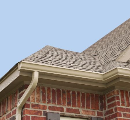 Could clogged gutters be damaging your home
