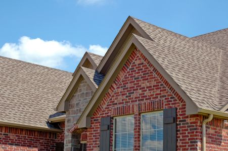 Whats really growing on your roof hidden damage you cant afford to ignore